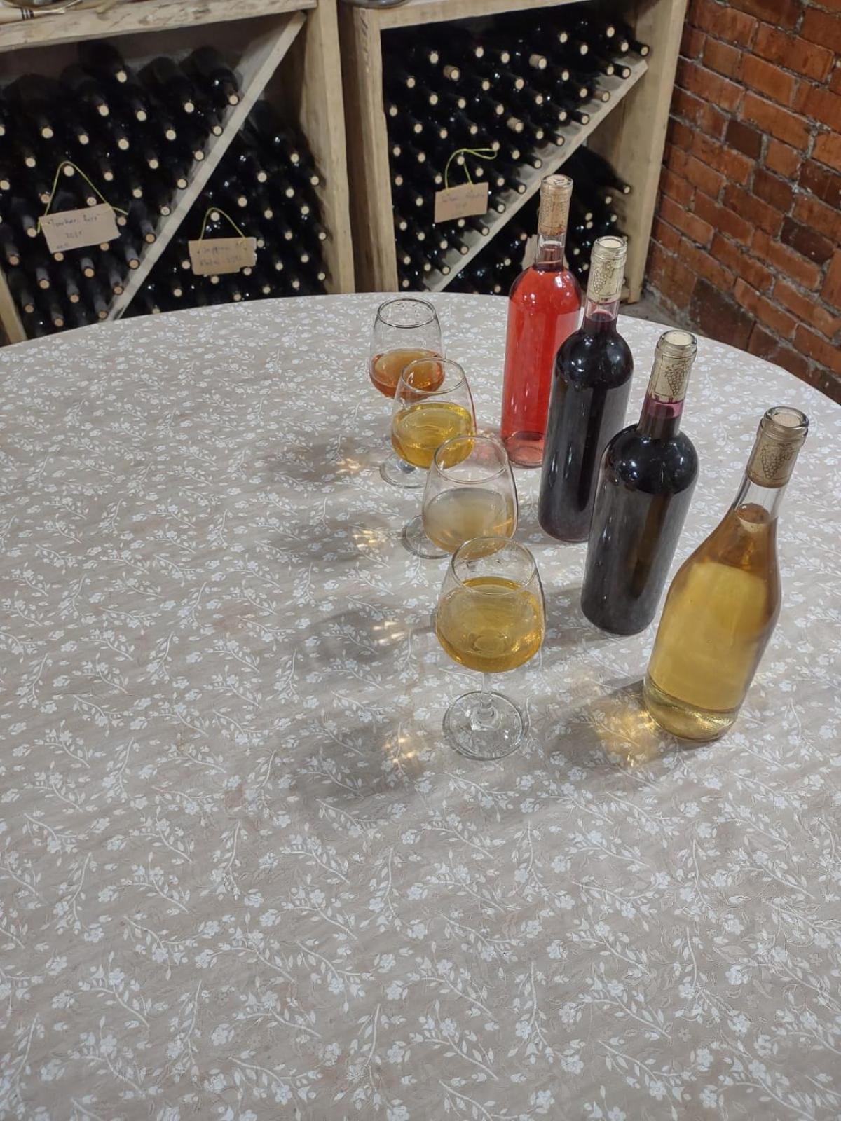 Book Wine Tasting In Tbilisi Bed & Breakfast Exterior photo
