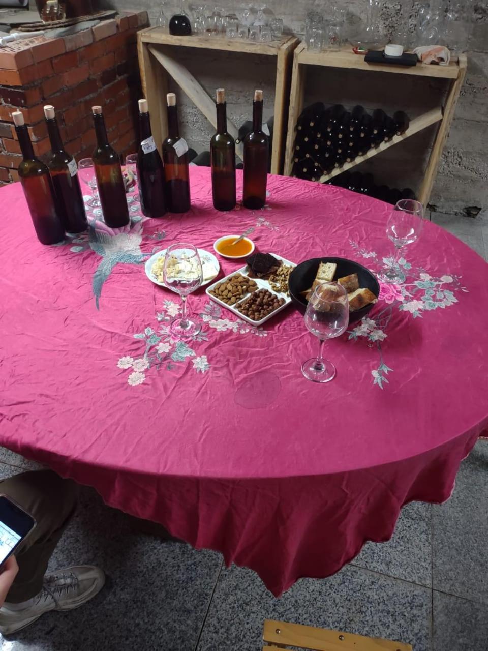 Book Wine Tasting In Tbilisi Bed & Breakfast Exterior photo
